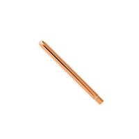 Lip Brush
