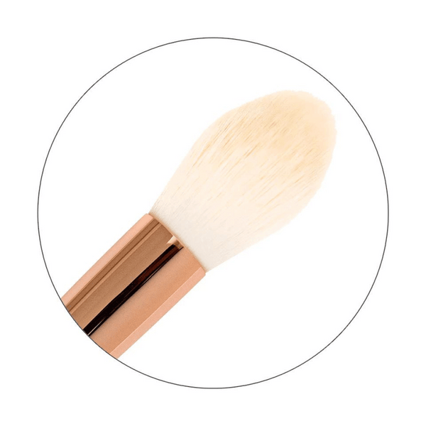 Powder Brush